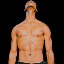 erico100 avatar