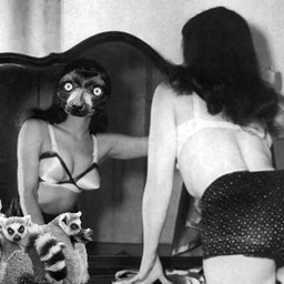 Erotic Lemur