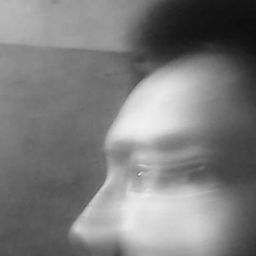 The Gray Blur avatar