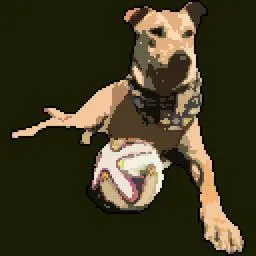 Eva avatar