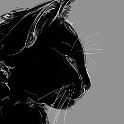 EwkaW avatar
