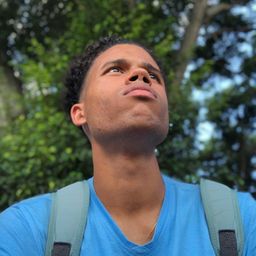 fabiodc avatar