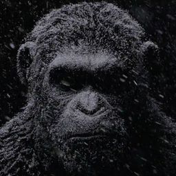 fako avatar
