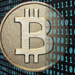 fantasycrypto avatar