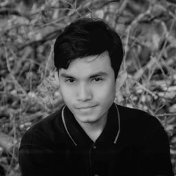 Farid Rizkia avatar
