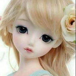 farihakhan avatar