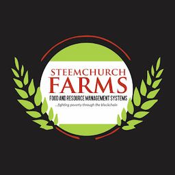 SteemChurch FARMS avatar