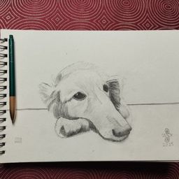 Felt.Buzz.Draws avatar