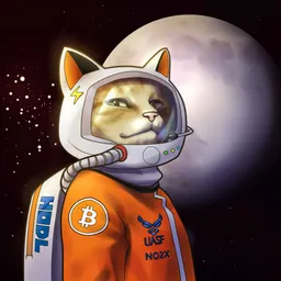 Holdonaut avatar