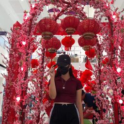 fire.phoenix avatar