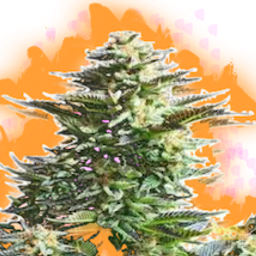 firealien avatar