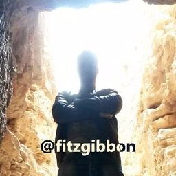 FitzGibbon avatar