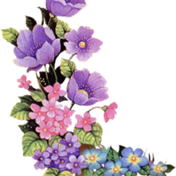 flower4u avatar