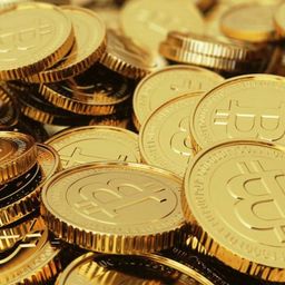 coin_zzang