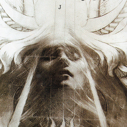 Flows and Traces avatar