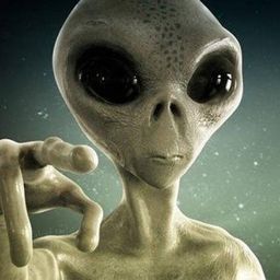 fortean avatar
