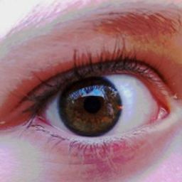 Spring avatar