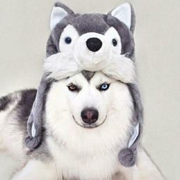 frequency369 avatar