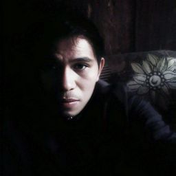 freven88 avatar