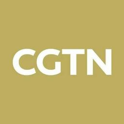 CGTN avatar