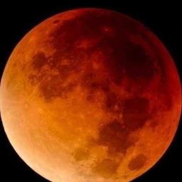 full-moon avatar
