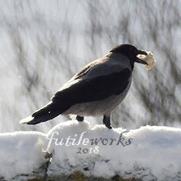 futileworks avatar