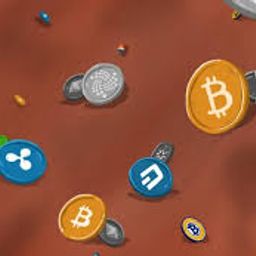 gainyourbitcoin avatar