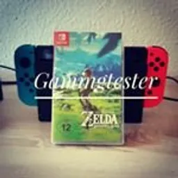 gamingflow avatar