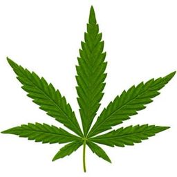 Ganja Weed avatar