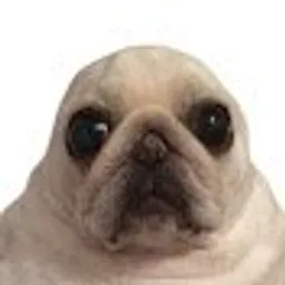 Garkolym avatar