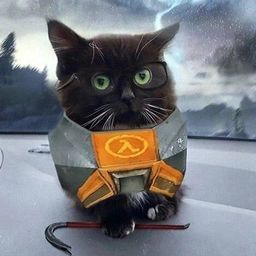 Gatolambda  avatar
