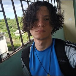 Geyler Mendoza Sánchez  avatar
