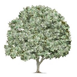 Luckytree avatar