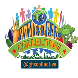 ghscollective avatar