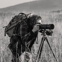 giacobbe avatar