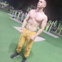 gian-wl avatar
