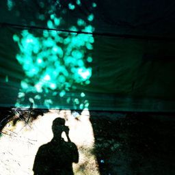 glorynow avatar