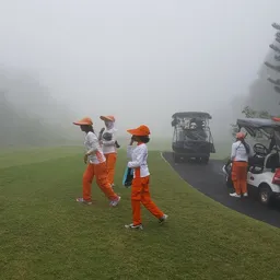 golfda avatar