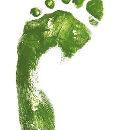 Goodfoot Prints avatar