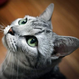 gosainkund avatar