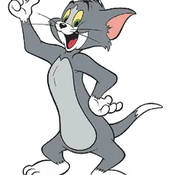 Tom avatar