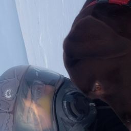 greatnorthcrypto avatar