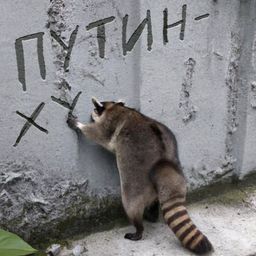 Кріс Роланд avatar