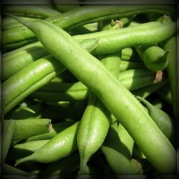 greenbeans avatar