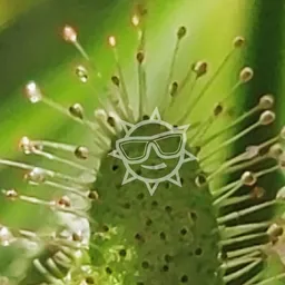 greenthings avatar
