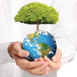 Greenzone1 avatar