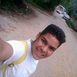 gregoriobrito avatar