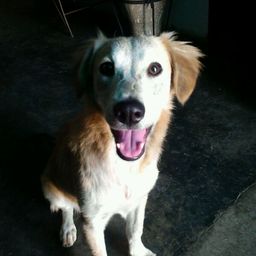 grexx avatar