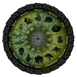 groverafter avatar