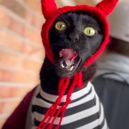 GUH avatar